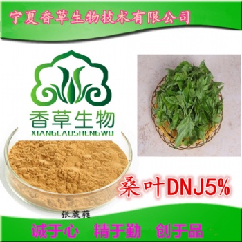 桑葉DNJ5％ 1-脫氧野尻霉素 桑葉黃酮 寧夏廠家 現(xiàn)貨