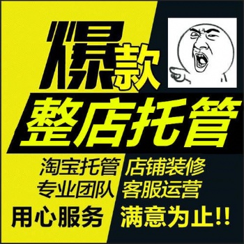 壽光網店代管理_淘寶代運營_美工裝修設計_拼多多外包推廣