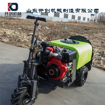 濟(jì)寧果園風(fēng)送式噴藥機(jī) 自走式高動力打藥機(jī)批發(fā)價(jià)格