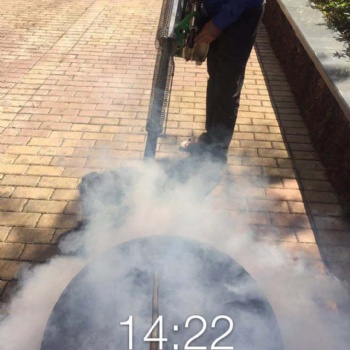 海南蚊蟲防治服務，殺伊蚊滅蚊蟲