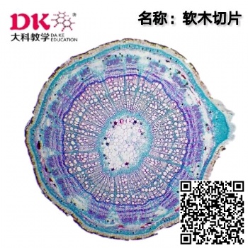 軟木切片顯微鏡生物玻片教學標本河南大科