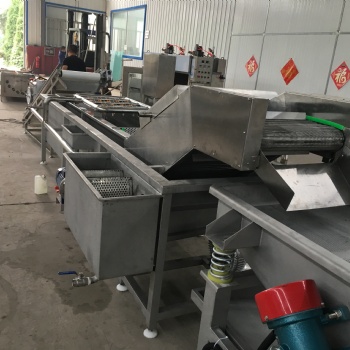 果蔬辣菜清洗流水線 蔬菜菌類連續(xù)式清洗機(jī) 廠家定制