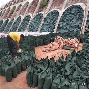 廠家綠化護坡防水土流失生態袋 綠色土工布袋 結實耐用生態袋
