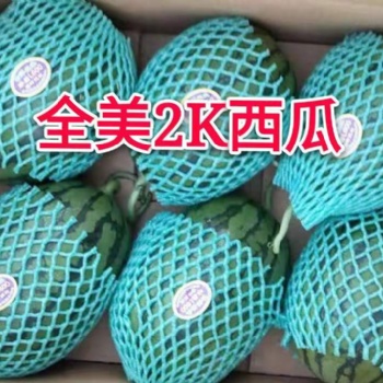 全美2K西瓜原產(chǎn)地大棚種植糖度15以上