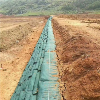 加工公路邊坡護坡聚丙烯生態袋 綠色抗老化生態袋 帶草籽防坡袋