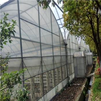 連棟薄膜溫室 薄膜溫室造價(jià) 溫室施工 溫室大棚