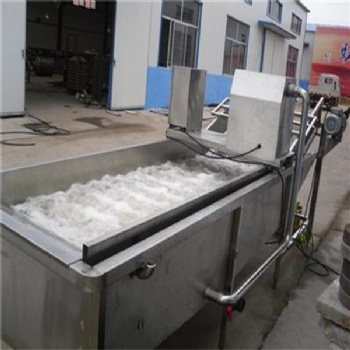 廠家供應(yīng)全自動多功能大棗氣泡清洗機