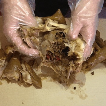 商丘市大別山麻椒雞技術培訓 手撕大排骨技術學習 鹵肉熟食店培訓基地加盟