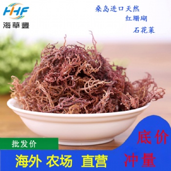 批發(fā)進口龍須菜麒麟菜海石花鹿角菜