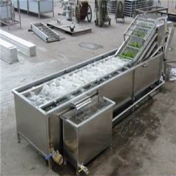 廠家生產(chǎn)全自動蔬菜清洗機 小尖椒氣泡清洗機