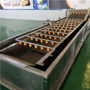 廠家生產(chǎn)全自動金銀花高壓噴淋氣泡清洗機