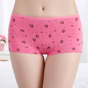 外貿(mào)新款女士平角/腳褲 出口現(xiàn)貨四角褲純棉女式內(nèi)褲