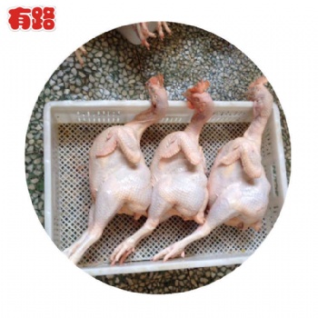 冷凍生鮮雞產品白條雞 蛋雞老母雞批發，種雞老母雞廠家 山東有路食品長期供應