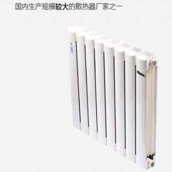 銅鋁復合暖氣片生產廠家 銅鋁復合暖氣片TLF132-60/1.2-1300價格詳細介紹