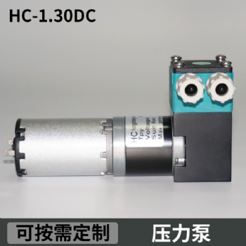 美創力噴碼機微型齒輪壓力泵