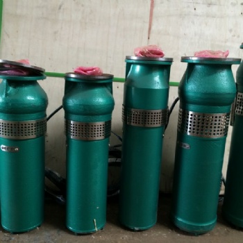 QSP水浸式噴泉泵 QSP10-14-0.75噴泉泵 小區酒店用廣場用噴泉泵