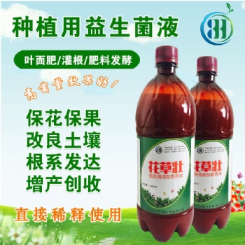 秋冬季種蔬菜用哪種肥料好