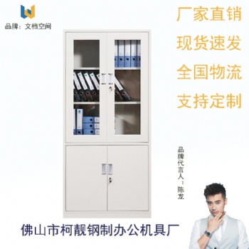 佛山廠家批發多抽帶鎖中二斗文件柜鐵柜資料柜保密檔案柜子鋼制材質