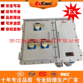 BXM-D防爆配電箱開關儀表插座控制箱防爆照明配電箱