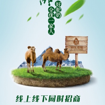 教你辨別真假駱駝奶的方法