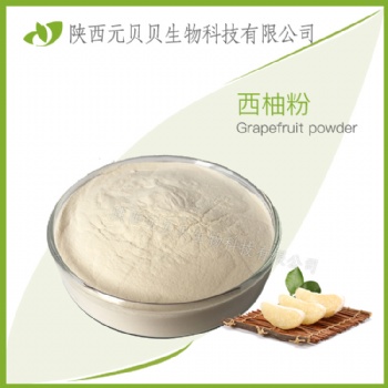西柚粉 速溶粉 固體飲料營(yíng)養(yǎng)豐富 廠(chǎng)家直供包郵 西柚汁粉