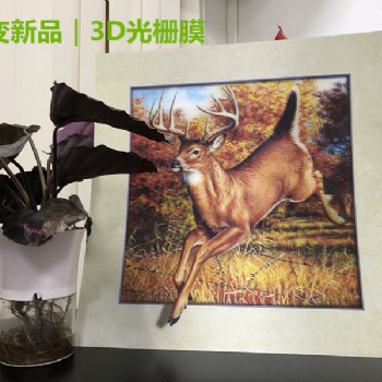 3D變幻卡、3D光柵立體畫(huà)、裸眼3D光柵膜、廠家可定制
