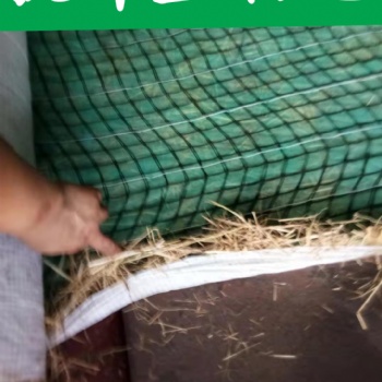 德州一體化植草毯 邊坡綠化毯生產廠家