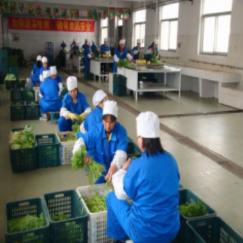 西安大型食材配送公司蔬菜配送提供發(fā)票