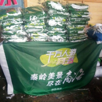 旗幟廠家 定做彩旗 廣告旗 西安仿古旗設(shè)計定做