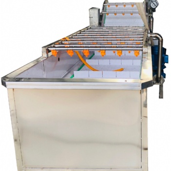 氣泡清洗機(jī)蔬菜清洗機(jī)水果鼓泡清洗機(jī)高壓噴淋不銹鋼清洗設(shè)備