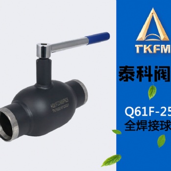泰科閥門不銹鋼全焊接球閥Q61F-25C DN65手動(dòng)放水定制