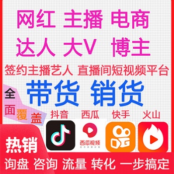 廣州網紅直播帶貨平臺，電商運營，短視頻營銷，網紅直播帶貨