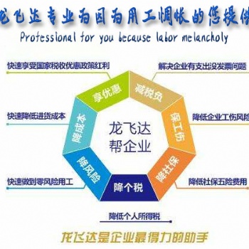 薪稅改革后薪稅籌劃獅稅務(wù)籌劃合法節(jié)稅一體化全套服務(wù)