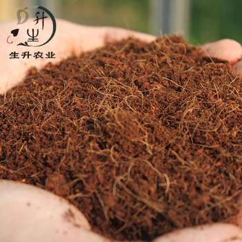 青島巨暉幫你解決椰糠** 為您**節(jié)省時間
