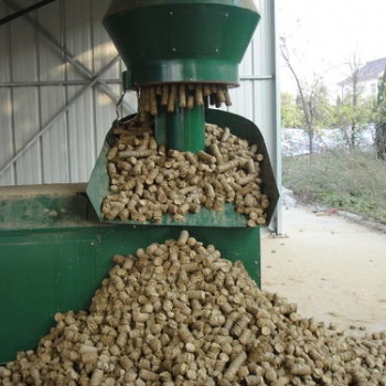 丹東生物質顆粒燃料大量出售-龍晟能源科技有限公司