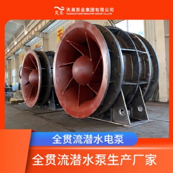 天津廠家現(xiàn)貨直供QGWZ全貫流泵潛水泵