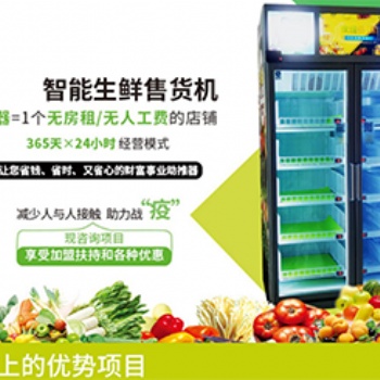 無(wú)人果蔬販賣(mài)機(jī)代理行情