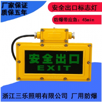 免維護(hù)LED防爆標(biāo)志燈