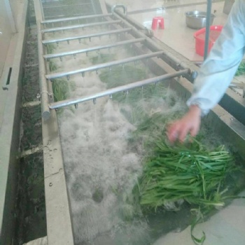 豆角去雜清洗機(jī) 蕓豆漂燙殺青流水線 豇豆角腌制脫鹽清洗設(shè)備