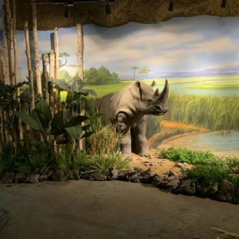 重慶室內動物園景觀的設計及定義