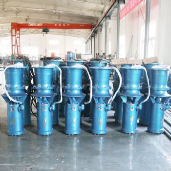 天津潛水混流泵大流量口徑生產廠家