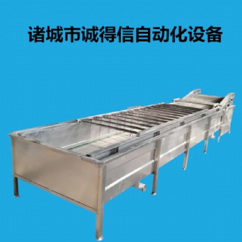 不銹鋼大型商用洗菜機蔬菜瓜果氣泡清洗機蔬菜瓜果氣泡清洗機