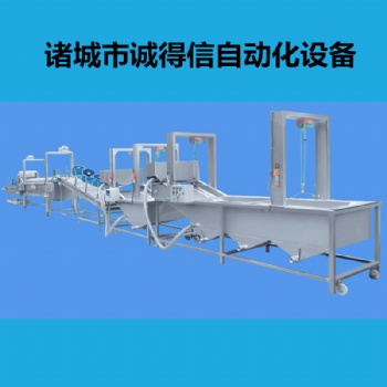 番茄氣泡清洗機(jī)多功能洗豆芽的機(jī)器氣泡水果蔬菜清洗機(jī)流水線定制