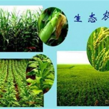 安陽農林設計資質申請標準生態開發工程乙級