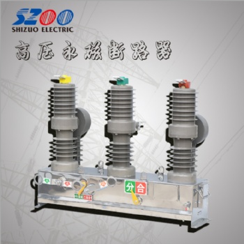 ZW32M柱上分界開關(guān) 戶外高壓永磁斷路器廠家