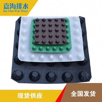 供應廊坊各種用途排水板蓄排水板生產廠家 質量**