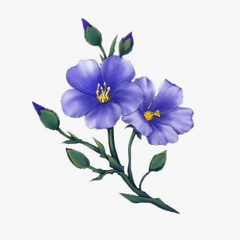 蘇州職業(yè)衛(wèi)生三同時(shí)評(píng)價(jià)