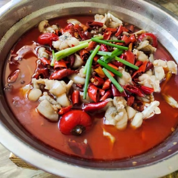 長沙饞嘴跳跳蛙技術(shù)培訓(xùn)學(xué)校