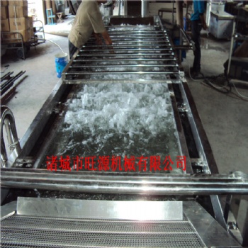 氣泡式果蔬清洗機(jī) 廠家多功能水果蔬菜清洗機(jī) 全自動清洗機(jī)