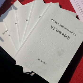 專業代寫穩定風險評估報告、可行性研究報告、商業計劃書